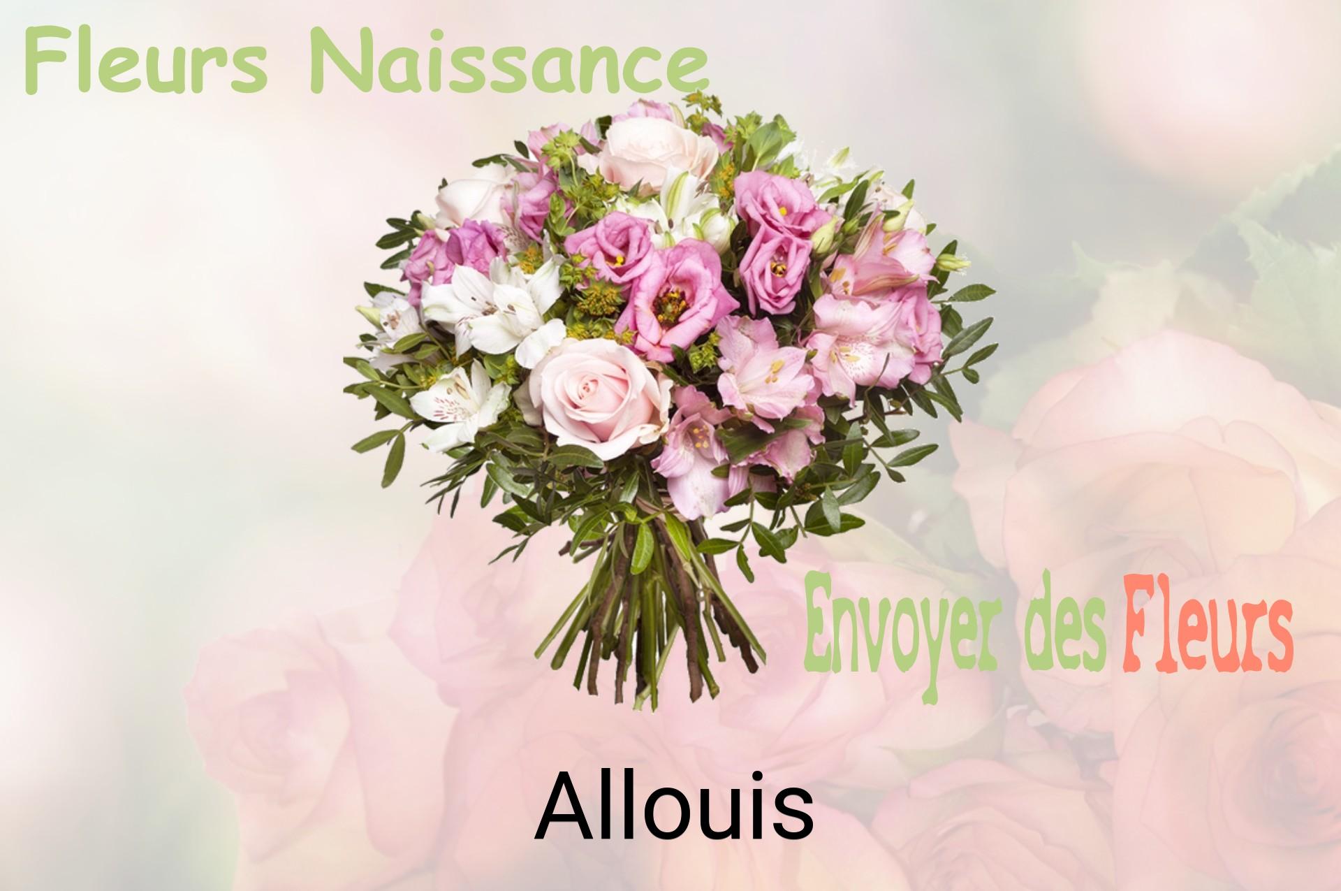 Bouquet de fleurs de naissance livré à Allouis